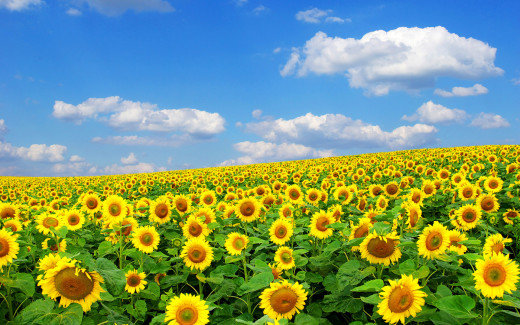495469 (a): :1920x1200